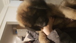🐶 Leonberger femmina di 4 mesi in vendita a Potenza (PZ) e in tutta Italia da privato