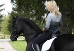Splendido Cavallo Frisone nero per la tua Famiglia - Foto n. 3