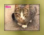 Max vive in Strada