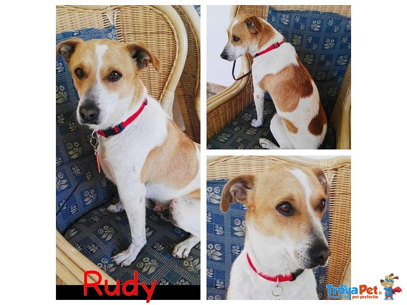 Rudy Cagnolino Dolce! - Foto n. 1