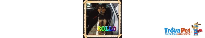 Adottate Rollo - Foto n. 1