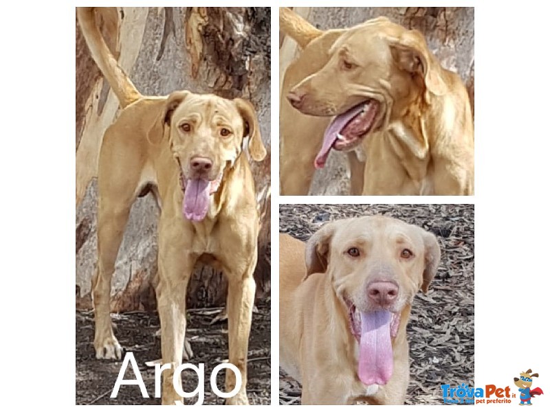Argo Splendido Bracco - Foto n. 1