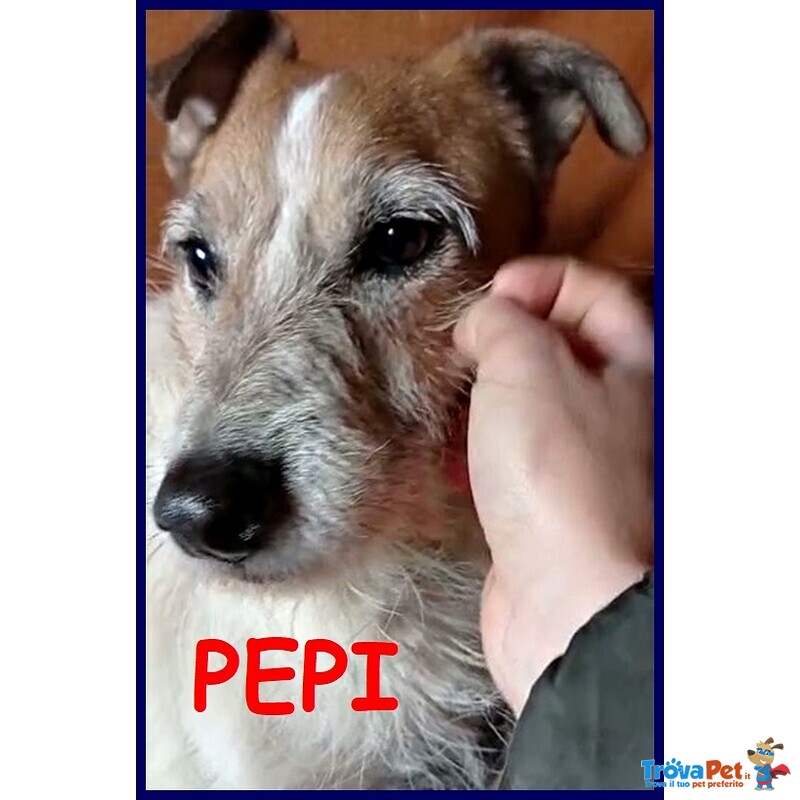 Pepi Nonnina 11 anni non ha Ancora Famiglia - Foto n. 1