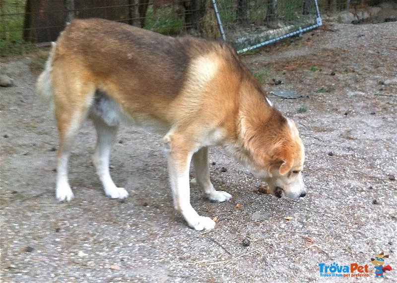 Yuri, una vita in Gabbia - Foto n. 7