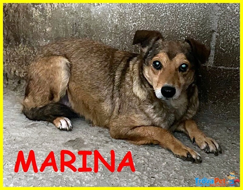 Marina 7 anni di Gabbia e Solitudine è Rassegnata - Foto n. 1