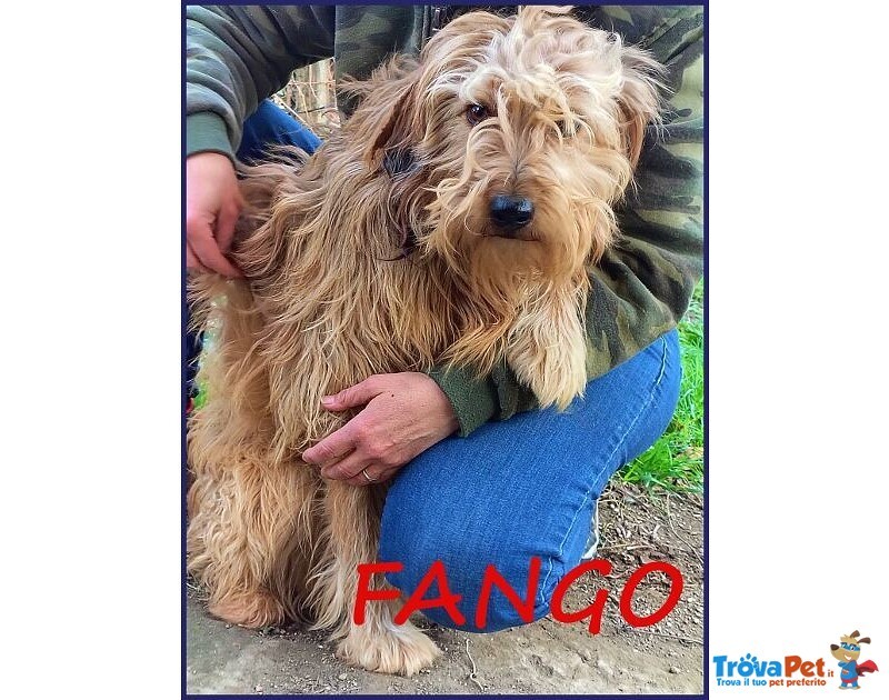 Fango 2-3anni Dolce - Sogna una Famiglia! - Foto n. 2