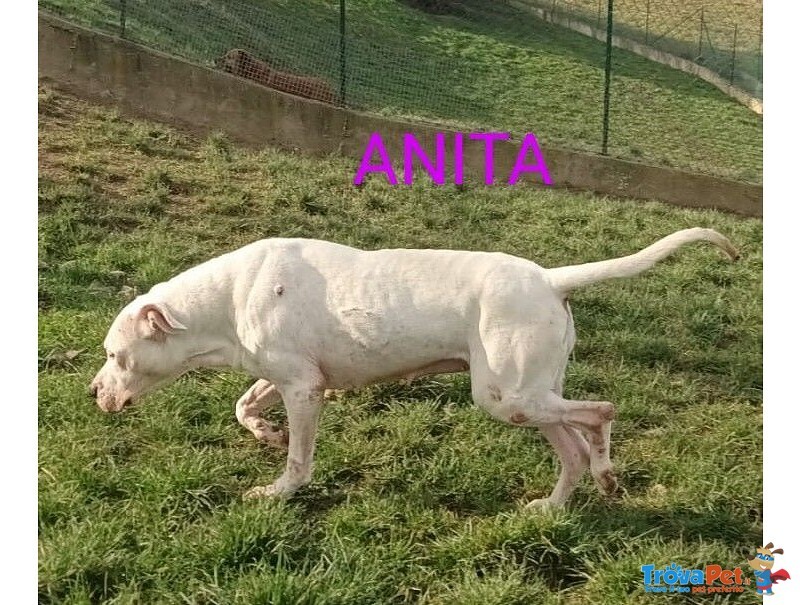 Anita 6anni Brava con le Persone - Foto n. 2