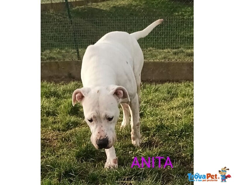 Anita 6anni Brava con le Persone - Foto n. 3