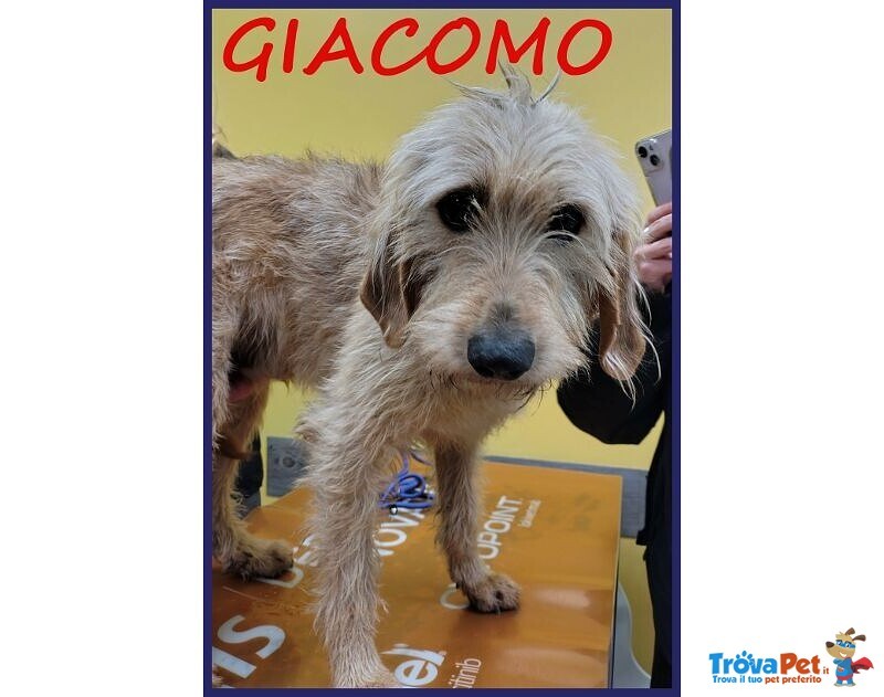 Giacomo 4anni ha Vissuto L'inferno - Foto n. 1