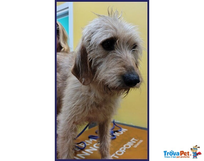 Giacomo 4anni ha Vissuto L'inferno - Foto n. 7