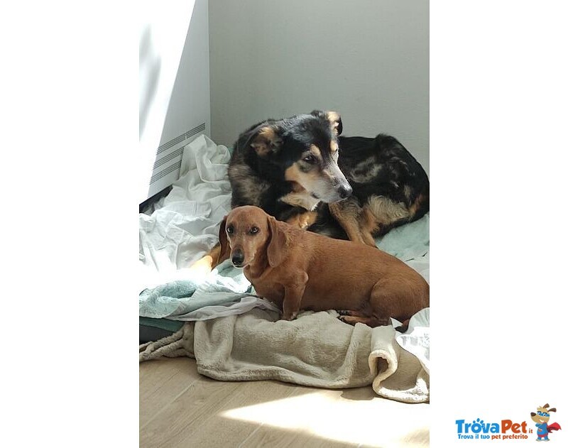 Clara e Sofia Nonnine Rimaste Sole - Foto n. 1