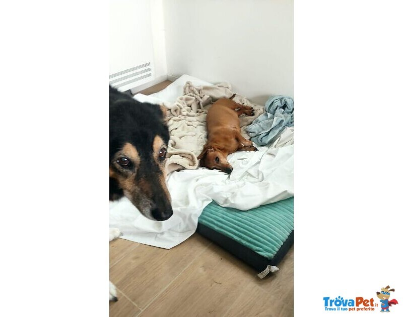 Clara e Sofia Nonnine Rimaste Sole - Foto n. 2