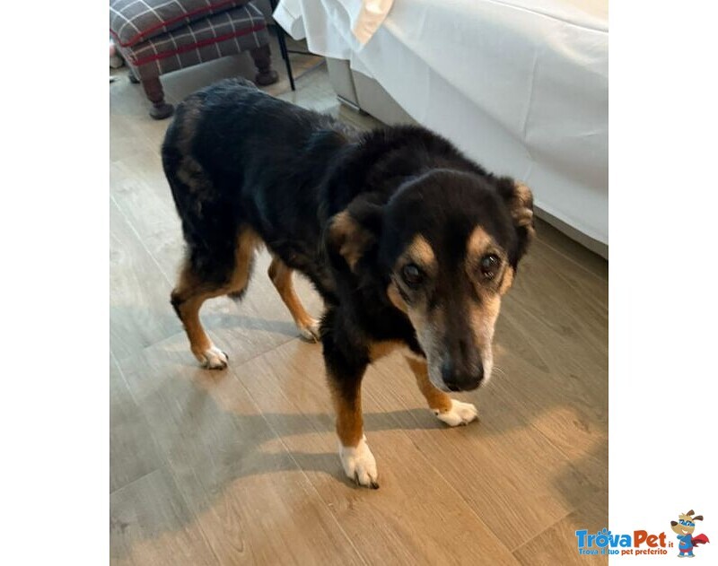 Clara e Sofia Nonnine Rimaste Sole - Foto n. 4