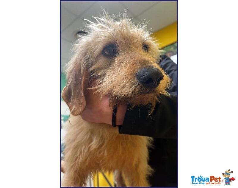 Giacomo 4anni ha Vissuto L'inferno - Foto n. 6
