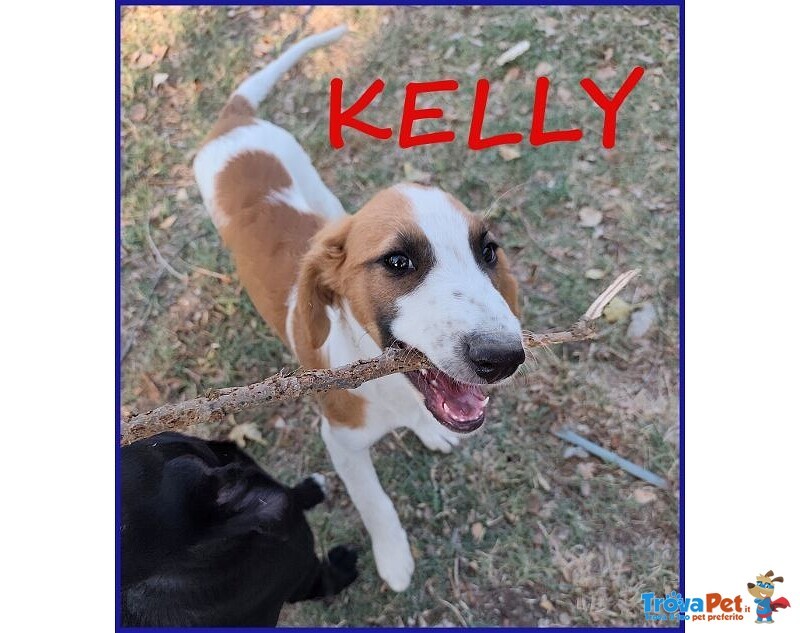 Kelly 5 mesi Abbandonata con la Sorellina Sotto il Sole - Foto n. 1