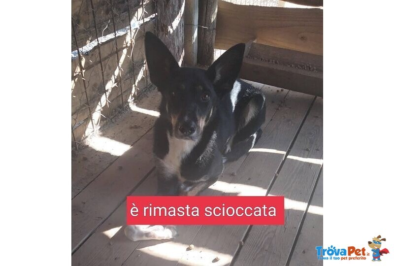 Trudy 3anni Brava con Tutti! non la Vogliono Più! - Foto n. 1