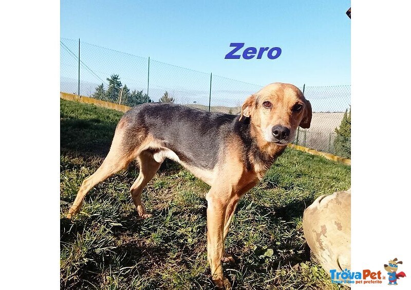 Zero 7anni Dolcissimo Cercacoccole tg Contenuta - Foto n. 1
