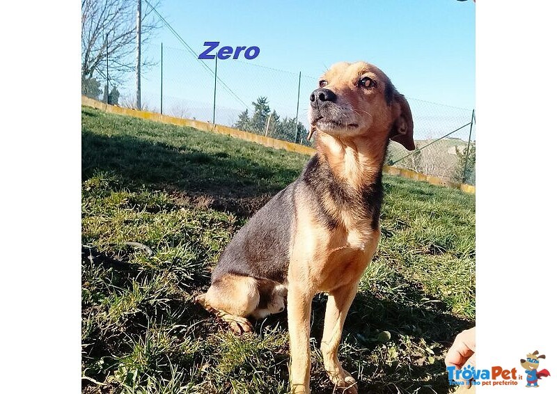 Zero 7anni Dolcissimo Cercacoccole tg Contenuta - Foto n. 3