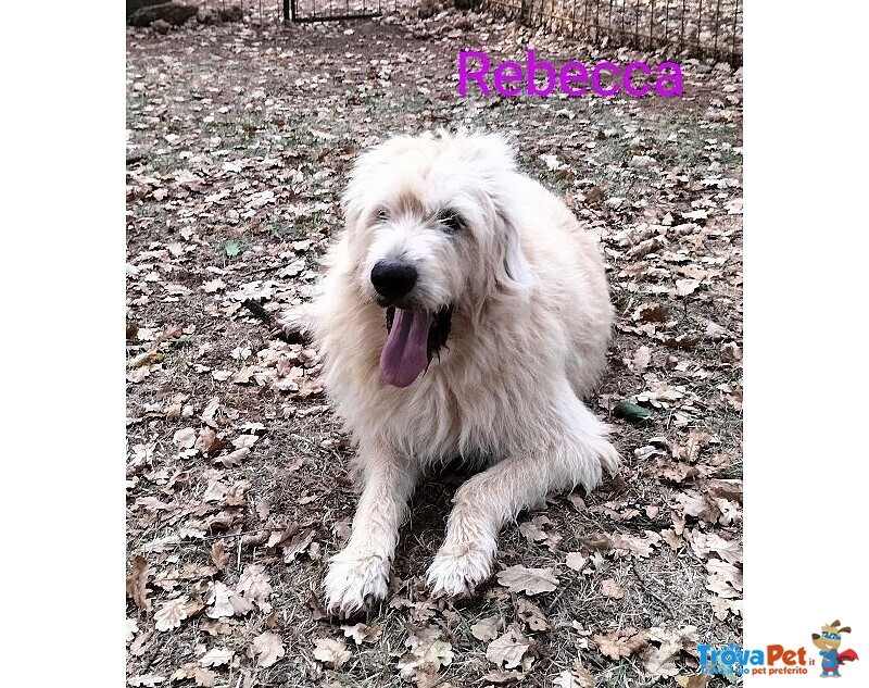 Rebecca 9anni Rimasta sola Dolcissima! - Foto n. 1