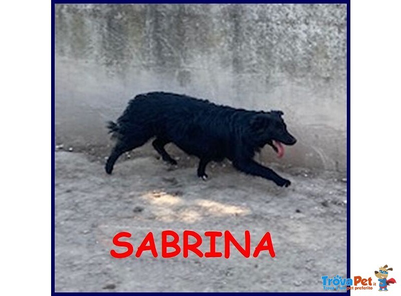 Sabrina sui 3 anni - una Timidina! - Foto n. 1