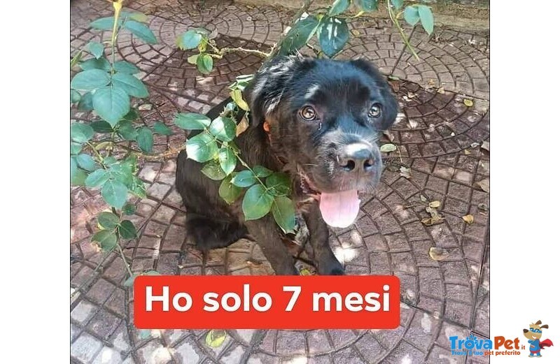 Oliver Giovane Buttato per Strada! - Foto n. 1
