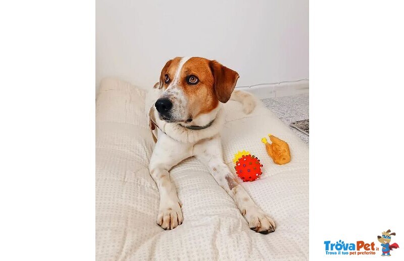 Tommy 7anni deve Finalmente Trovare Pace - Foto n. 1