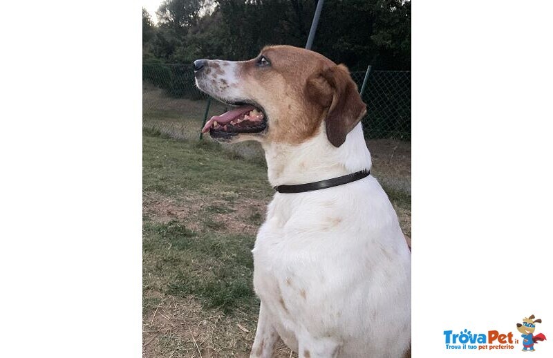 Tommy 7anni deve Finalmente Trovare Pace - Foto n. 5