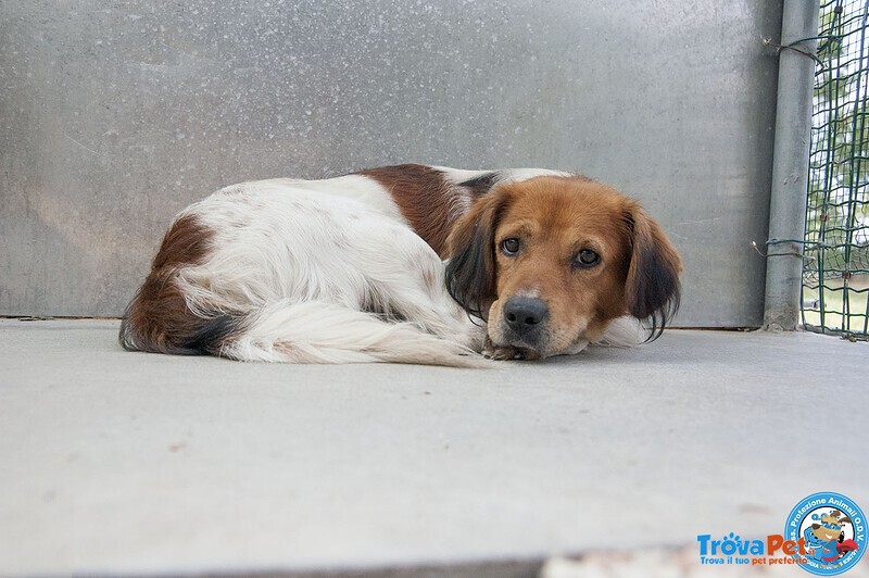 Ken, il Silenzio Negli Occhi di chi ha Perso Tutto - Foto n. 4