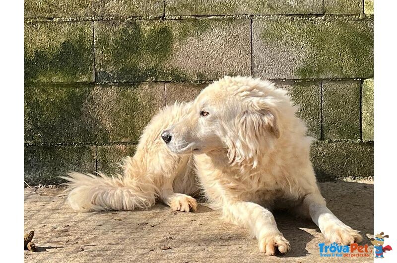 Sole 6 anni Tranquillo e Pacato - Foto n. 2