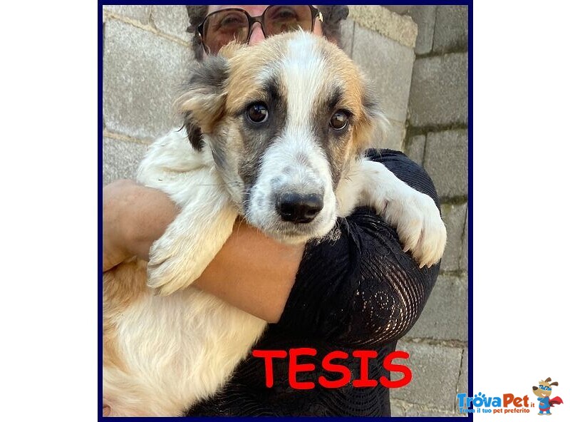 Tesis sui 3 anni Adorabile Cicciotta - Foto n. 4