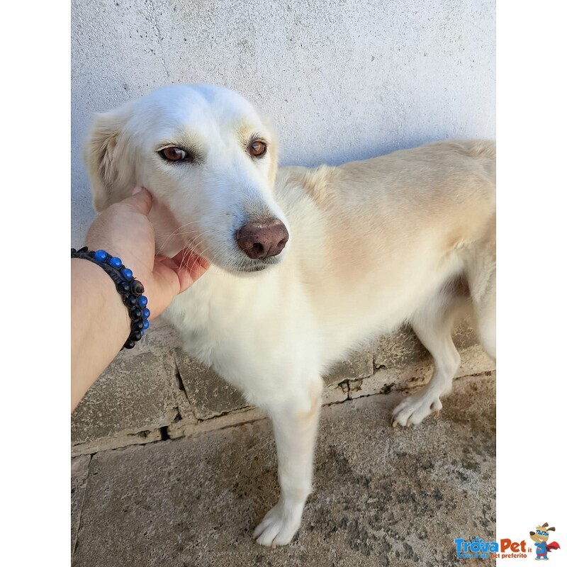 Sabina Adozione - Foto n. 1