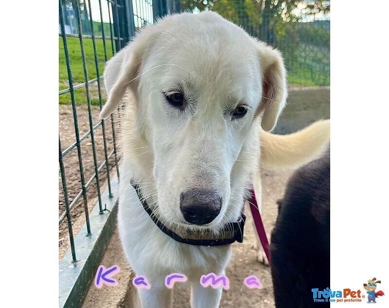 Karma Giovane in Cerca di un Lieto Fine - Foto n. 2
