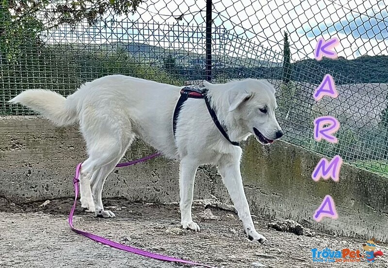 Karma Giovane in Cerca di un Lieto Fine - Foto n. 3