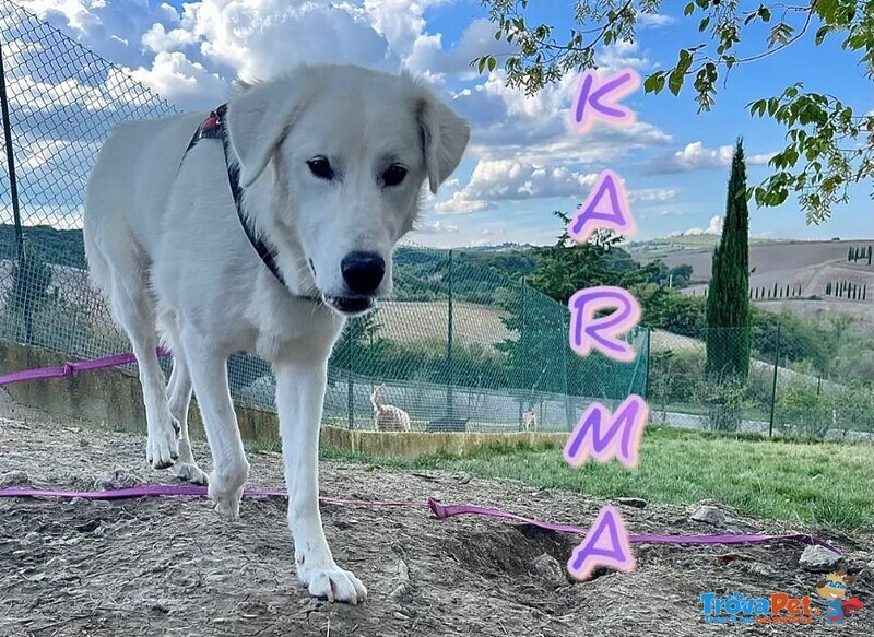 Karma Giovane in Cerca di un Lieto Fine - Foto n. 4