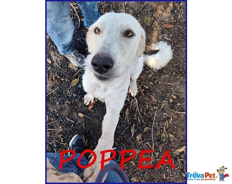 Poppea 3anni Buona con Tutti! - Foto n. 7