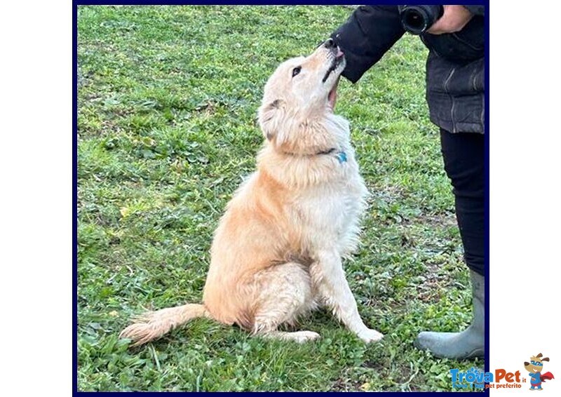 Lucky Cotone 6 anni Adora le Persone Dinamiche - Foto n. 5