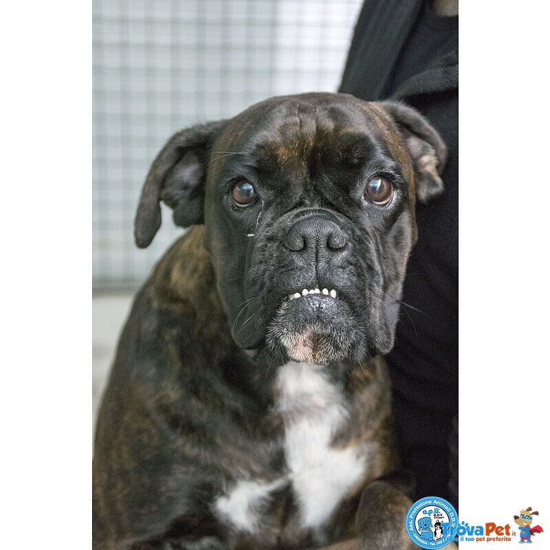 Maya, Boxer Comprata per fare Scena, ora Cerca solo Amore Vero.. - Foto n. 1