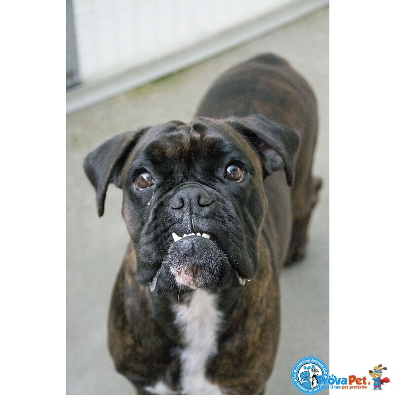 Maya, Boxer Comprata per fare Scena, ora Cerca solo Amore Vero.. - Foto n. 2