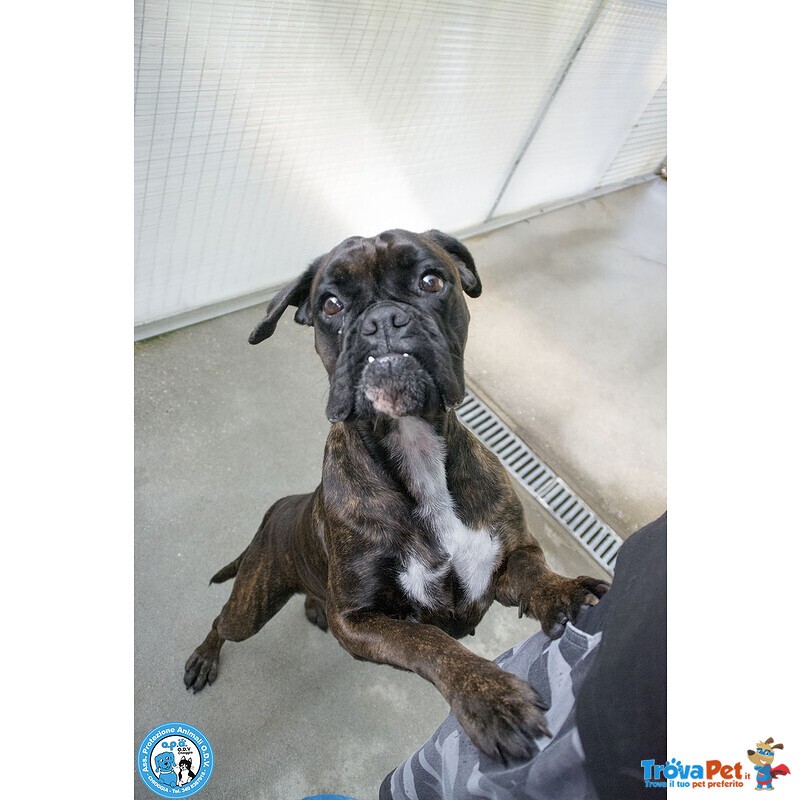 Maya, Boxer Comprata per fare Scena, ora Cerca solo Amore Vero.. - Foto n. 3