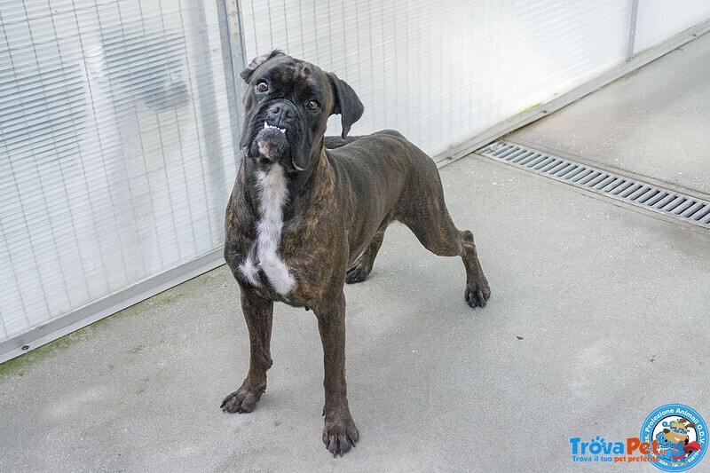 Maya, Boxer Comprata per fare Scena, ora Cerca solo Amore Vero.. - Foto n. 5