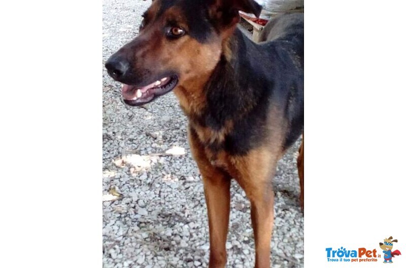 Hubert Buono con Tutti! Adora i Bambini - Foto n. 1