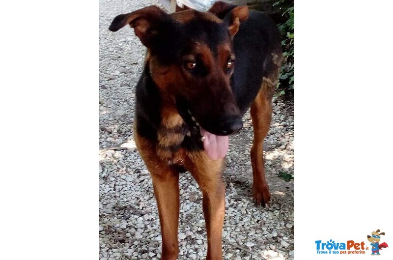 Hubert Buono con Tutti! Adora i Bambini - Foto n. 2