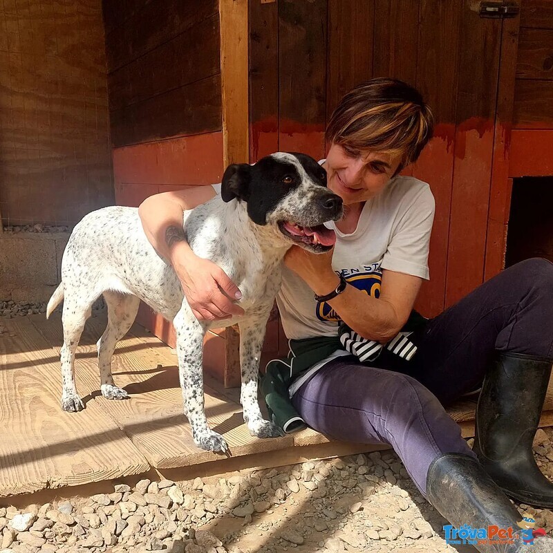 Bria Vuole Tante Coccole! - Foto n. 2