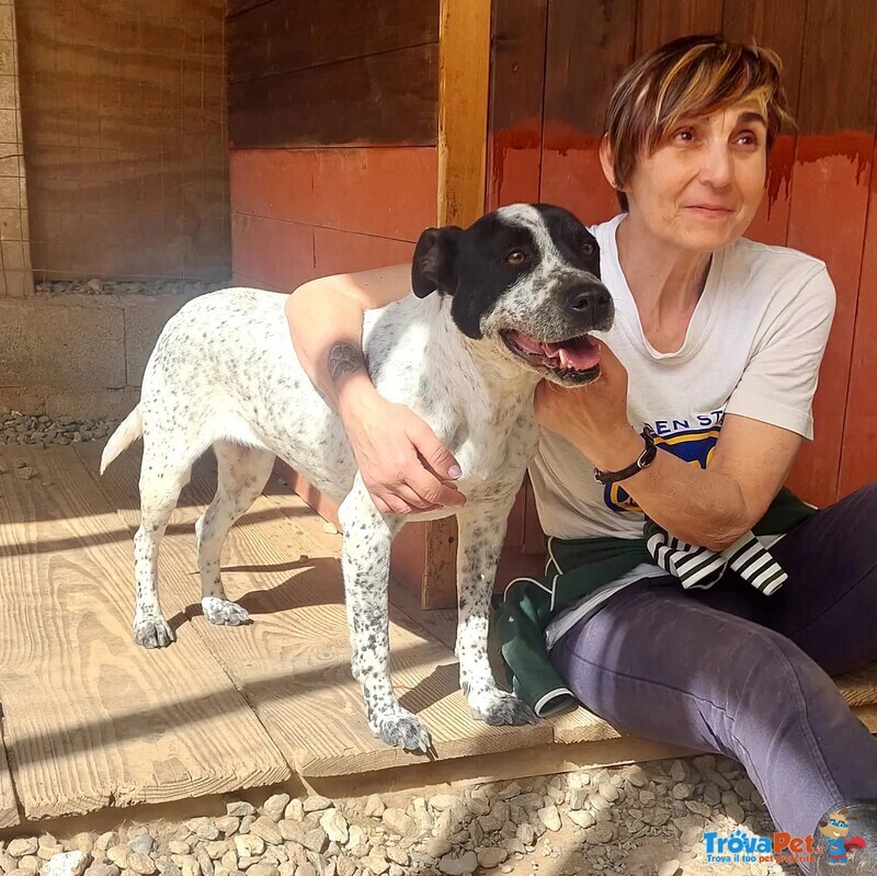 Bria Vuole Tante Coccole! - Foto n. 3