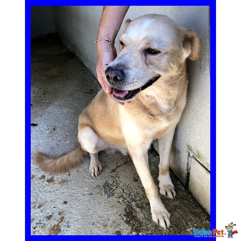 Big ben 8-9anni Dolce Solare Coccolone - Foto n. 4