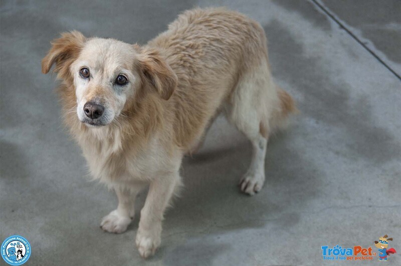 Tessy e tom: Cuore a Quattro Zampe (anzi, Otto) - Foto n. 6