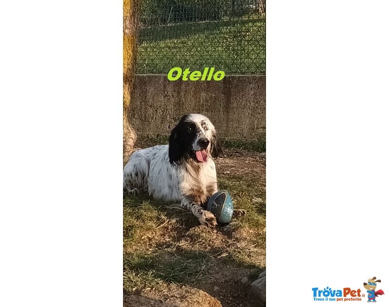 Otello 5anni Adora L'acqua e Giocare! Bravo - Foto n. 3