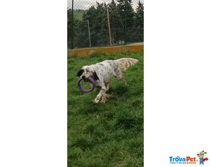 Otello 5anni Adora L'acqua e Giocare! Bravo - Foto n. 4