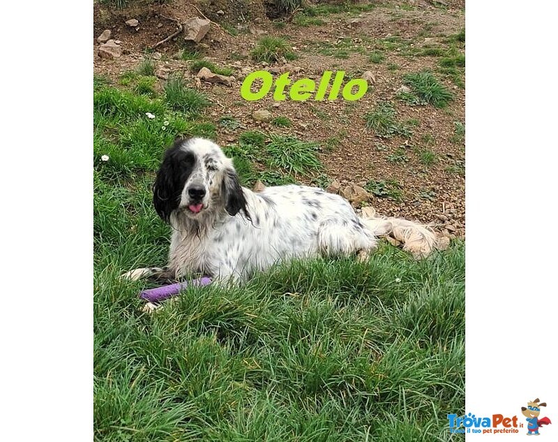 Otello 5anni Adora L'acqua e Giocare! Bravo - Foto n. 5