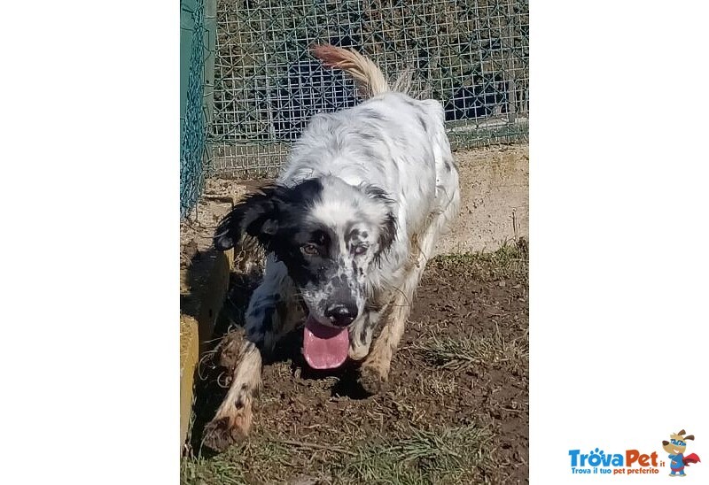 Otello 5anni Adora L'acqua e Giocare! Bravo - Foto n. 7